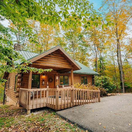 Ferngully Creek Cabins Міллерсбург Екстер'єр фото